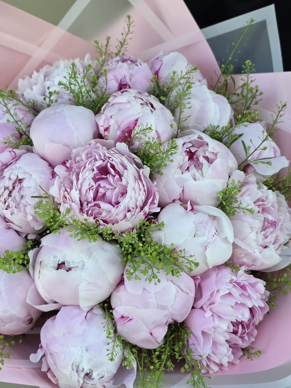 Peony Whisper